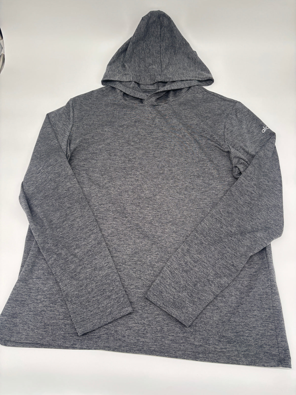 ALO HOODIE